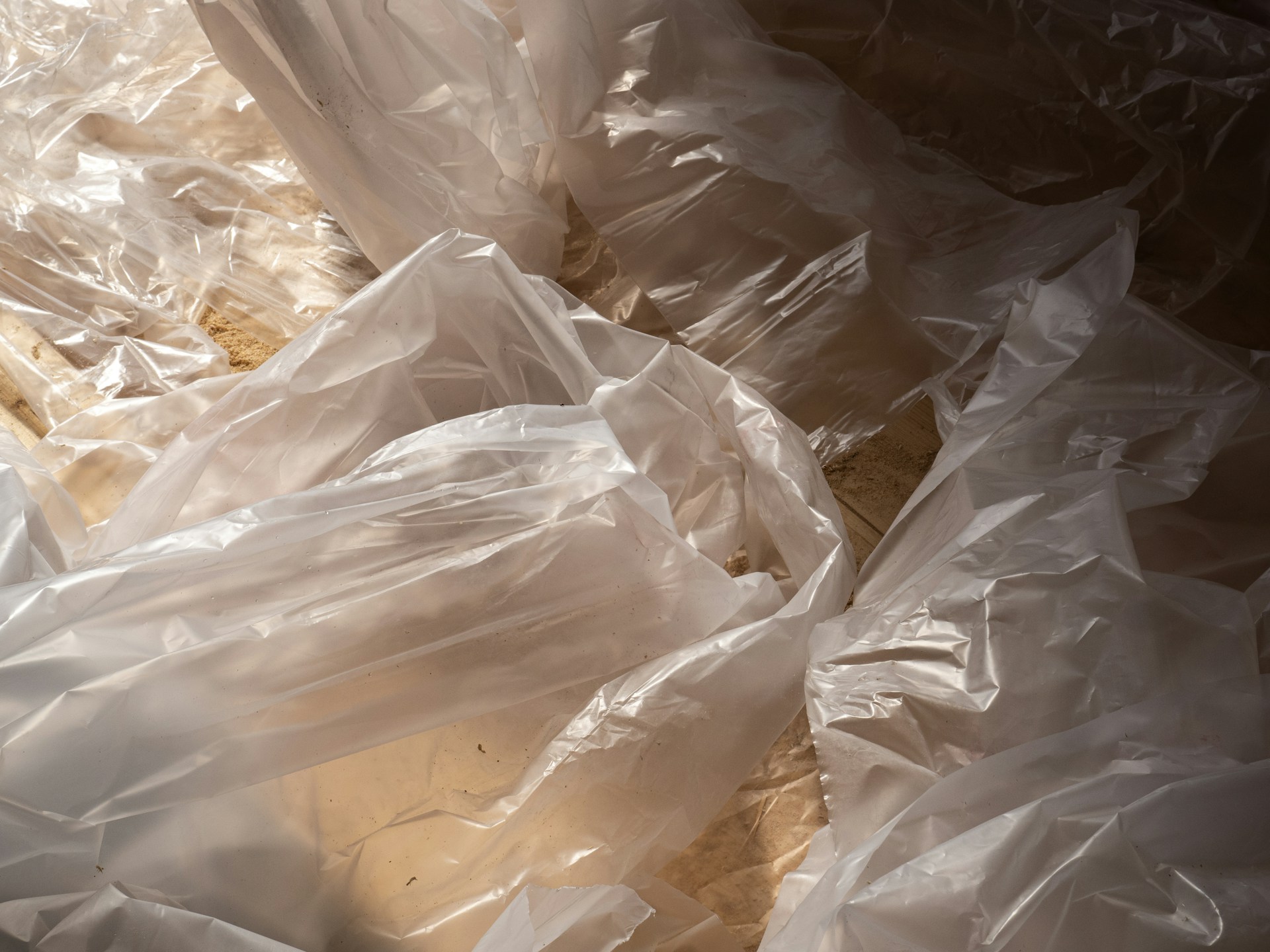 plastic bags