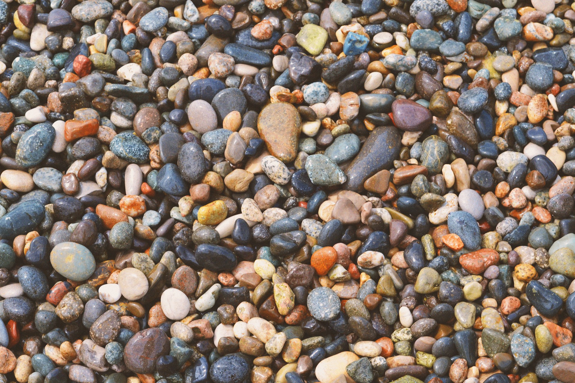 Stones The Desert Rose Website Works Blog by Janelle Reichman