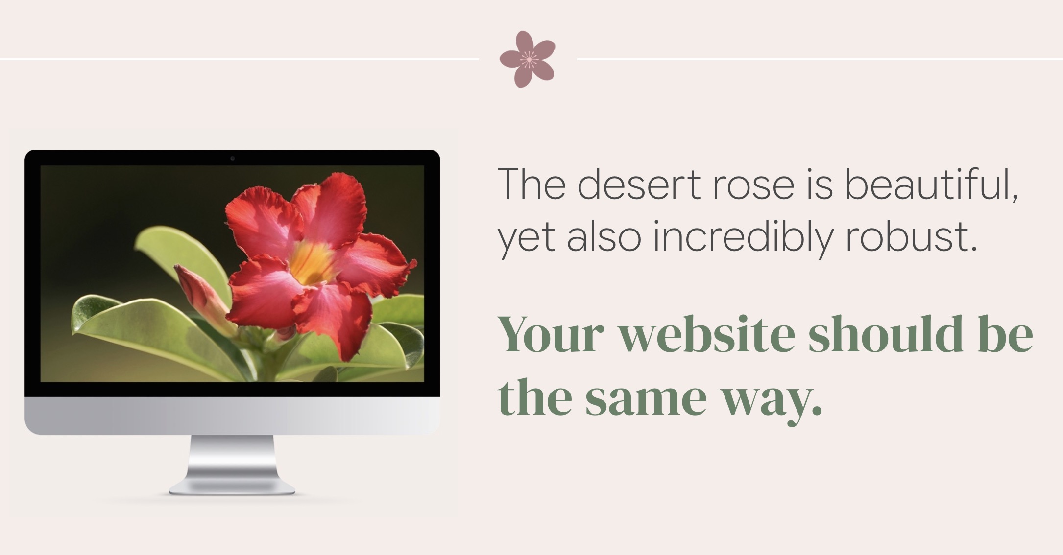 The desert rose is beautiful, yet also incredibly robust. Your website should be the same way.